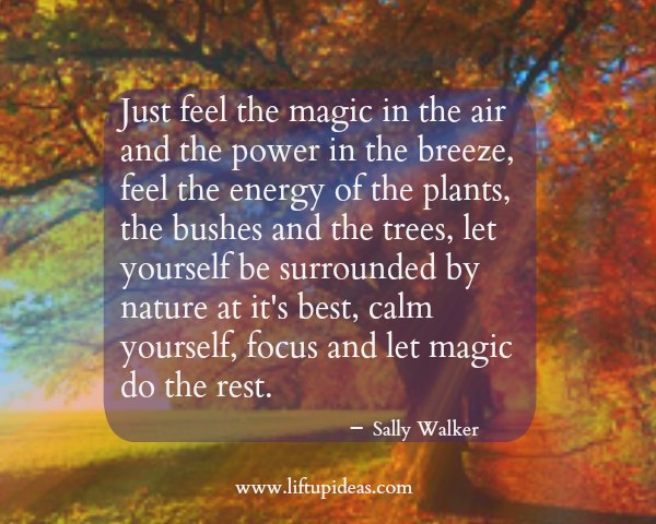 feel-magic-air-power-breeze-feel-energy-plants-bushes-trees-surrounded-nature-best-calm-magic-rest-sally-walker